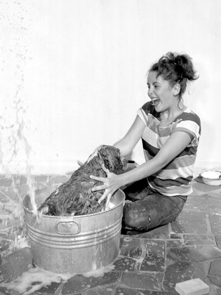 Picture of ELIZABETH TAYLOR WASHING A DOG