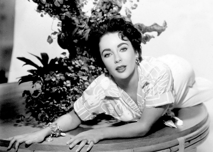 Picture of ELIZABETH TAYLOR