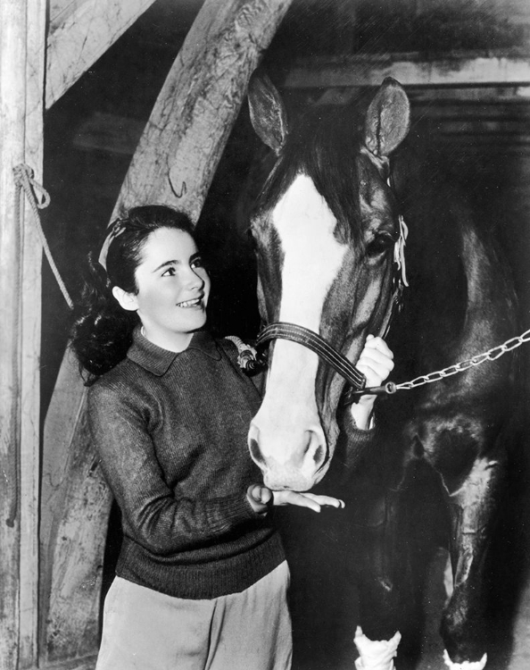 Picture of NATIONAL VELVET - ELIZABETH TAYLOR