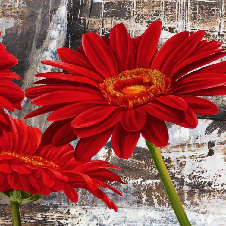 Picture of RED GERBERAS II