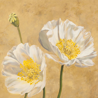 Picture of POPPIES ON GOLD I