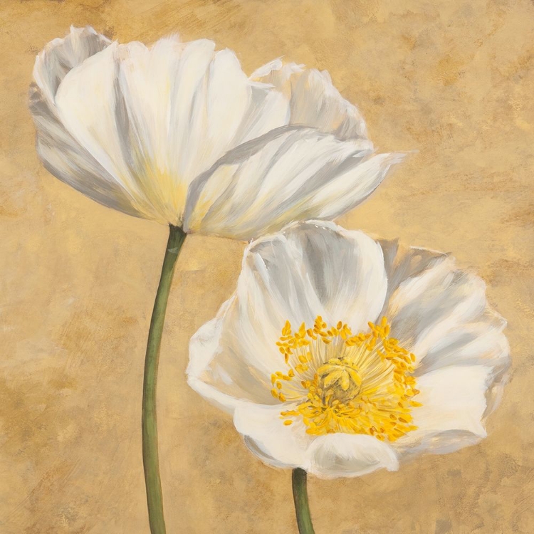 Picture of POPPIES ON GOLD II