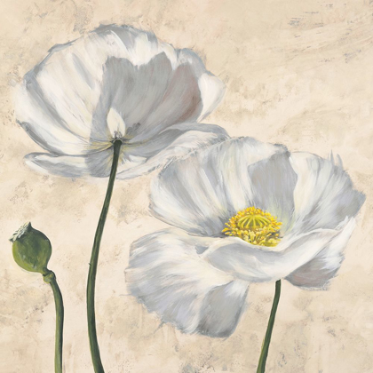 Picture of POPPIES IN WHITE I