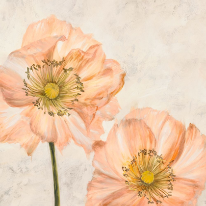 Picture of POPPIES IN PINK I