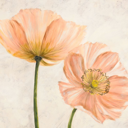 Picture of POPPIES IN PINK II