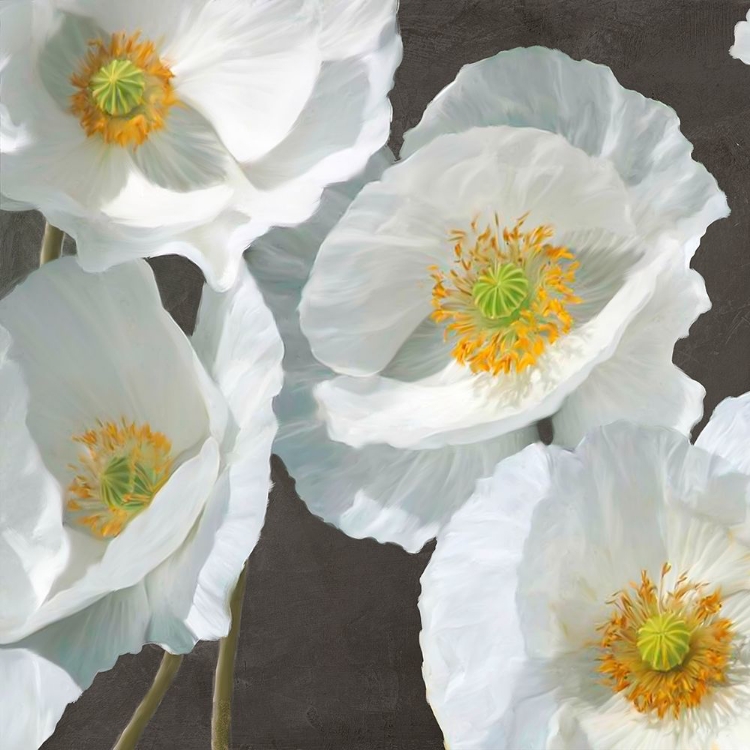 Picture of POPPIES ON CHALKBOARD I