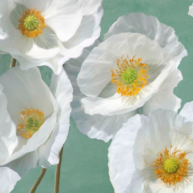 Picture of POPPIES ON MINT I