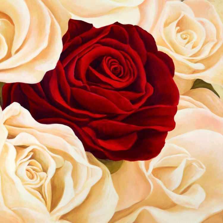 Picture of ROSE COMPOSITION