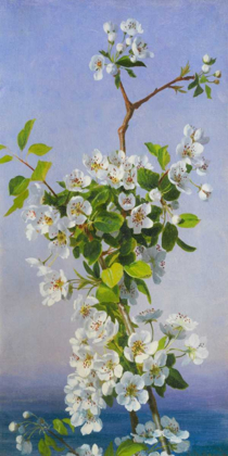 Picture of BLOSSOM I