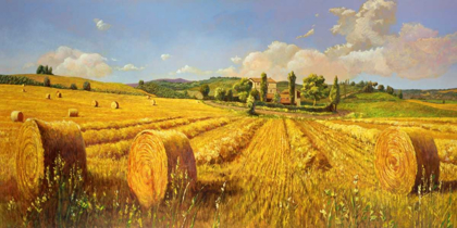 Picture of CAMPO IN TOSCANA