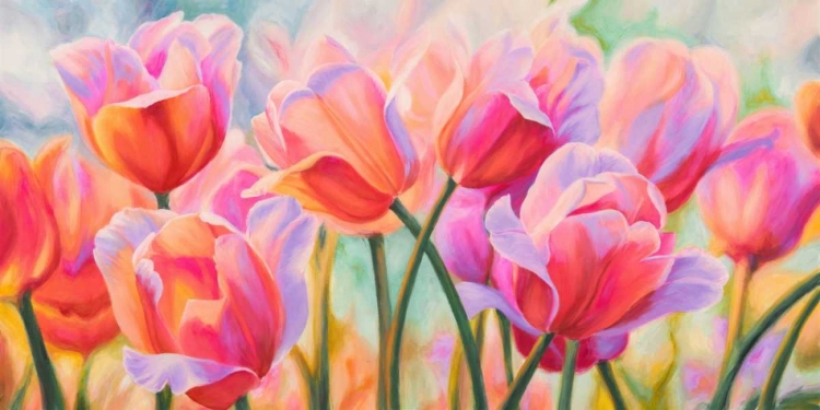 Picture of TULIPS IN WONDERLAND