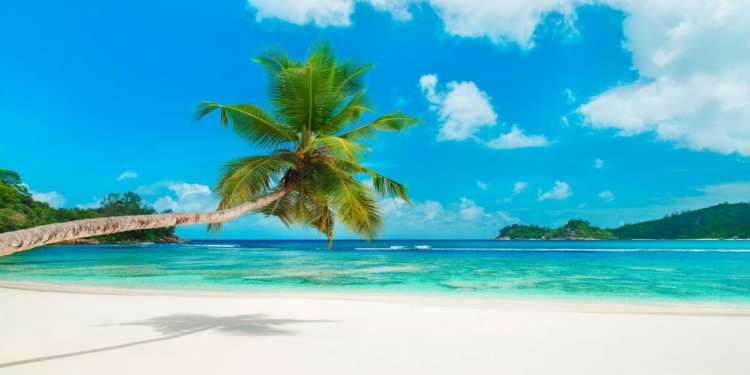 Picture of TROPICAL BEACH, SEYCHELLES