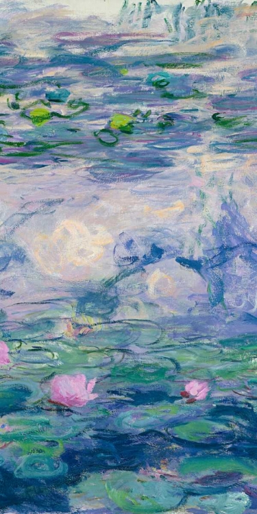 Picture of WATERLILIES II