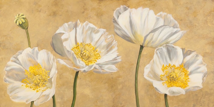 Picture of POPPIES ON GOLD