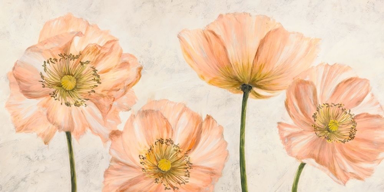 Picture of POPPIES IN PINK