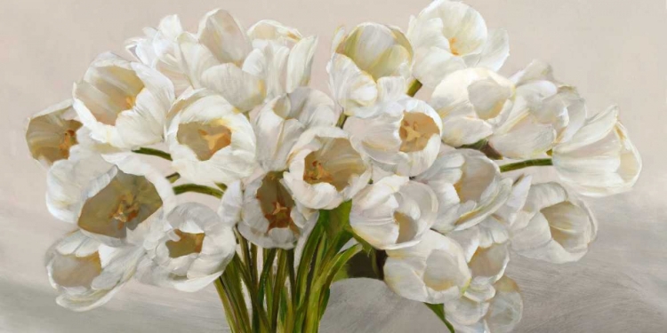 Picture of TULIPES BLANCHES