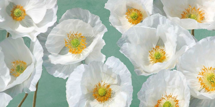 Picture of POPPY ARRANGEMENT (MINT)