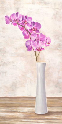 Picture of ORCHID ARRANGEMENT