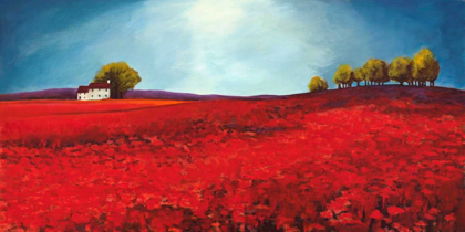 Picture of FIELD OF POPPIES