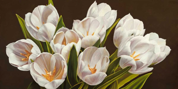 Picture of BOUQUET DI TULIPANI