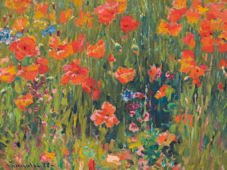 Picture of POPPIES