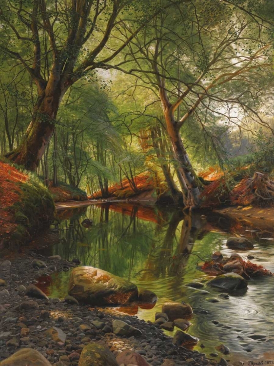 Picture of A WOODLAND STREAM