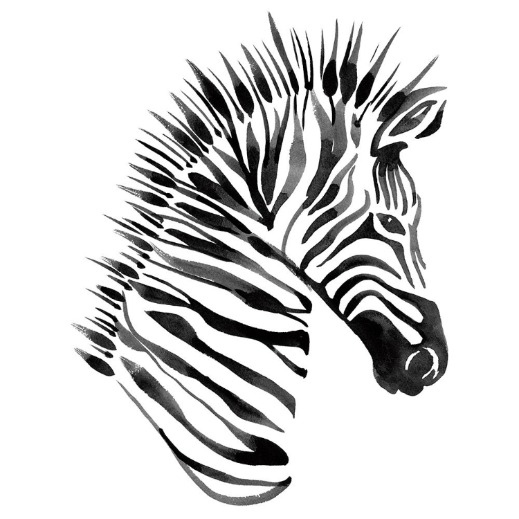 Picture of ZEBRA