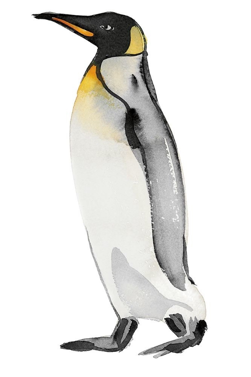 Picture of PENGUIN II