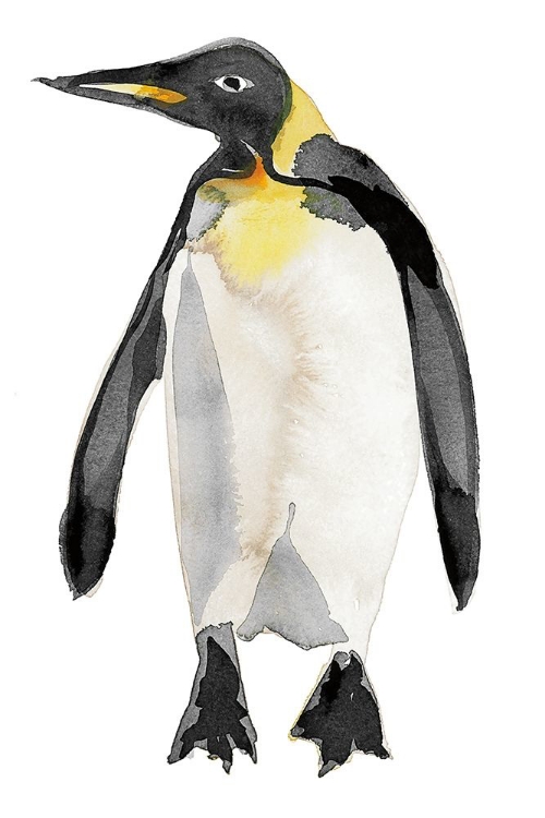 Picture of PENGUIN III