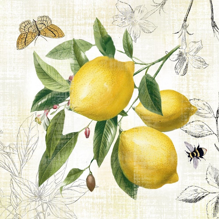 Picture of LINEN LEMONS II