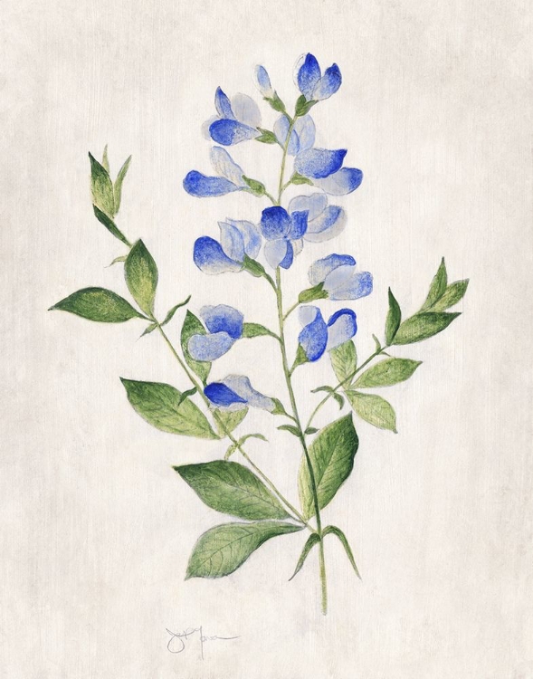 Picture of BLUE BOTANICAL II