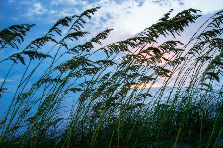 Picture of STORMY BEACH II