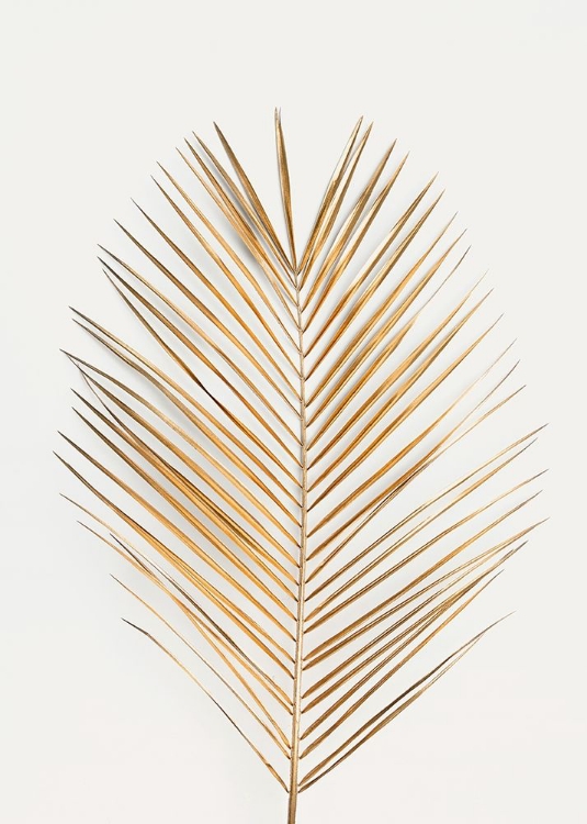 Picture of PALM LEAF GOLD