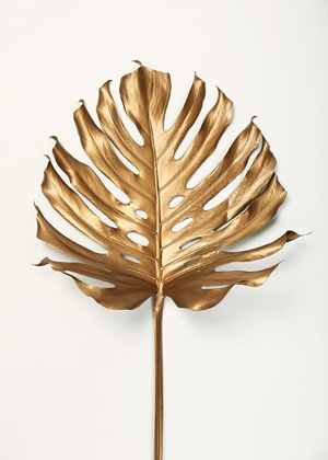 Picture of MONSTREA GOLD LEAF