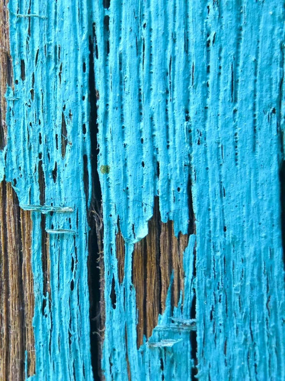 Picture of TURQUOISE PAINT I