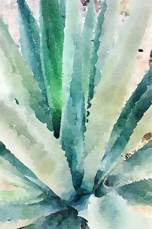 Picture of RUSTIC SUCCULENT II