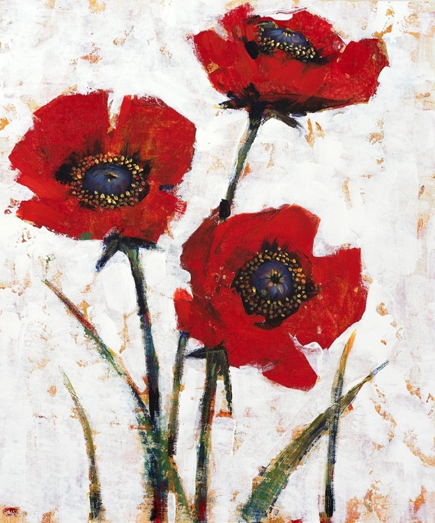 Picture of RED POPPY FRESCO II