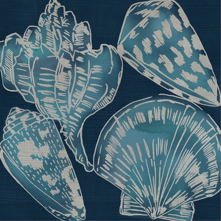 Picture of MARINE SHELLS II