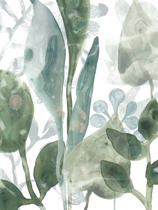 Picture of AQUATIC LEAVES III