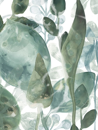 Picture of AQUATIC LEAVES IV