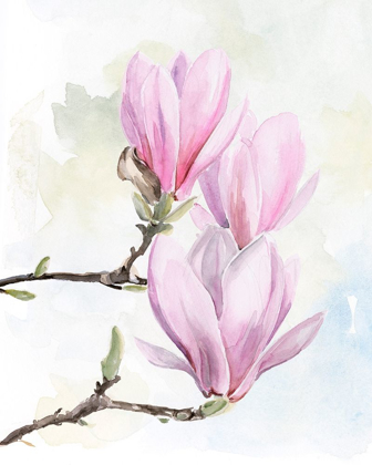 Picture of MAGNOLIA BLOOMS I