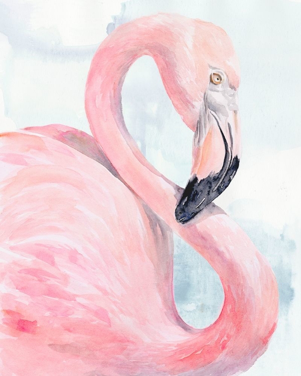 Picture of PINK FLAMINGO PORTRAIT I