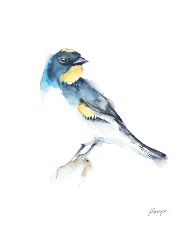 Picture of WATERCOLOR SONGBIRDS III