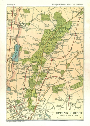 Picture of EPPING FOREST LONDON ENGLAND - PHILIP 1904