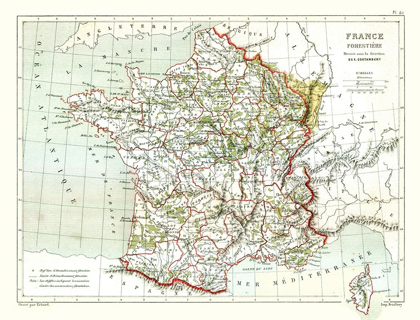 Picture of FORRESTRY FRANCE - CORTAMBERT 1880