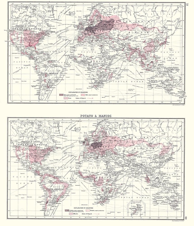 Picture of GLOBAL POTATO MANIOC - BARTHOLOMEW 1907