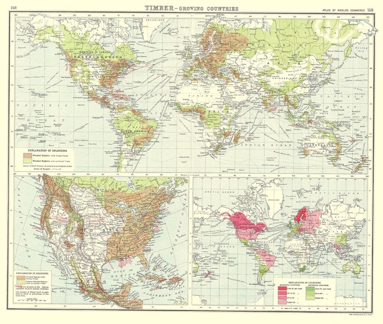 Picture of GLOBAL TIMBER GROWING COUNTRIES - BARTHOLOMEW 1907