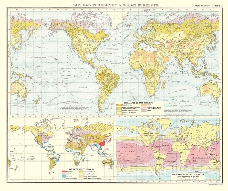 Picture of GLOBAL NATURAL VEGETATION OCEAN CURRENTS