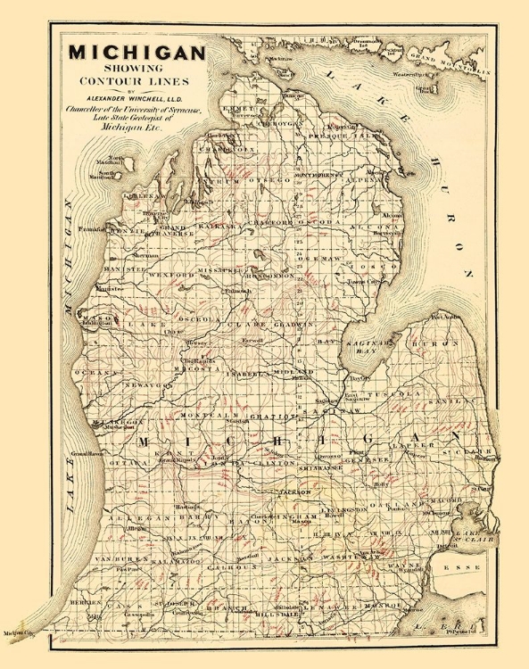 Picture of MICHIGAN LOWER PENINSULA - TACKABURY 1873