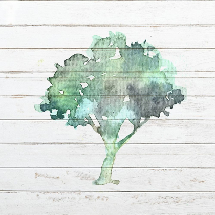 Picture of WATERCOLOR TREE 1